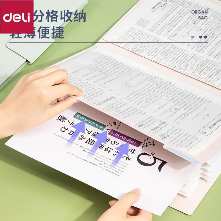 Túi đựng tài liệu học sinh Deli khổ A4 - màu Hồng / Xanh lá / Xanh dương - 1 chiếc - 72671 [Deli]