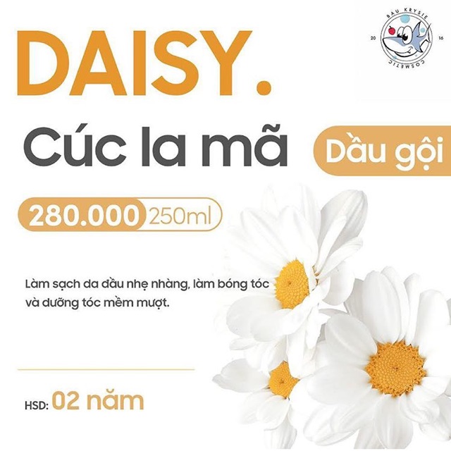 Dầu Gội Daisy - Chiết Xuất Cúc La Mã