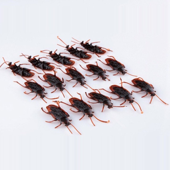 Combo 10 con Gián đồ chơi