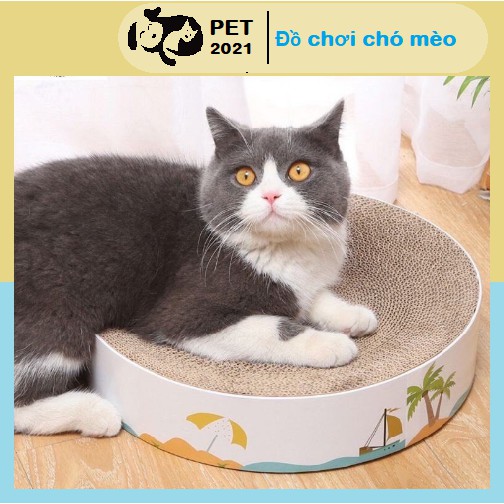 Bàn Cào Móng Hình Tròn,Ổ Nằm Dành Cho Mèo ( Kèm Catnip) - PET 2021