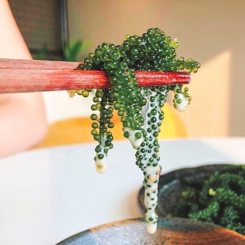 Rong nho tách nước Nha Trang hộp 200gr