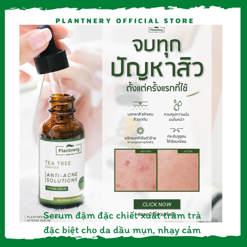 Combo 5 chai serum tràm trà đậm đặc dành cho da dầu mụn Plantnery Thái Lan 30ml