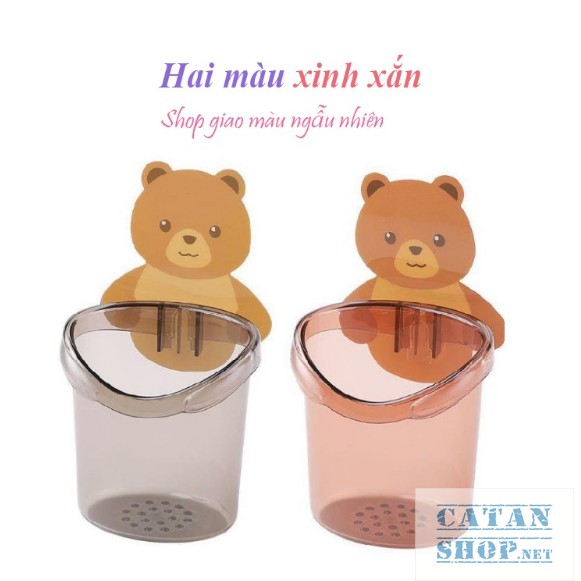 Ly cốc đựng bàn chải kem đánh răng dán tường hình gấu cute, Cốc dán tường nhà tắm chú gấu dễ thương GD442-LyGau