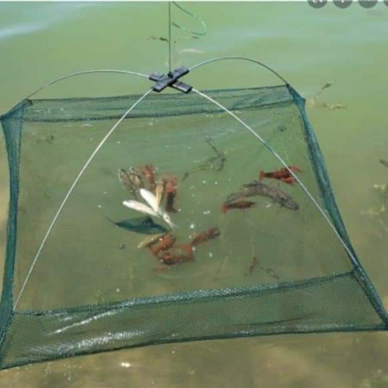 Vó tôm,cá, tép... có thể gấp gọn rất tiện lợi và dễ sử dụng