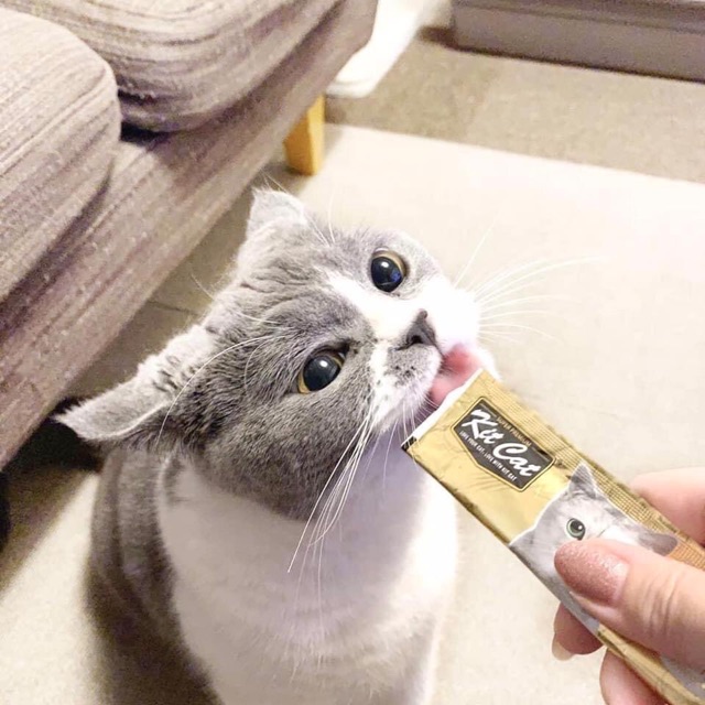 Kit Cat Purr Puree  Thức ăn súp thưởng thơm ngon, nhiều vị dành cho mèo, sốt thưởng cho mèo - Kitty Pet Shop BMT