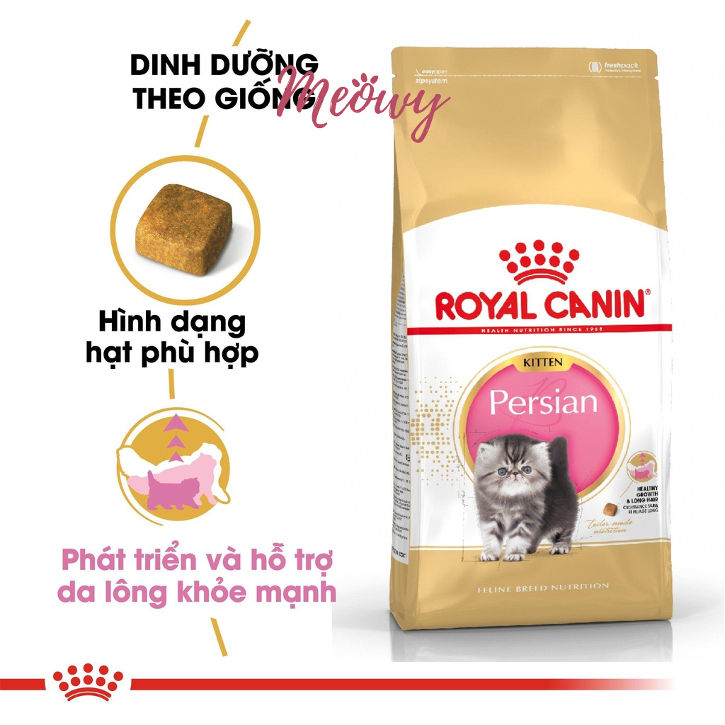 Hạt ROYAL CANIN PERSIAN KITTEN cho mèo con Anh lông dài