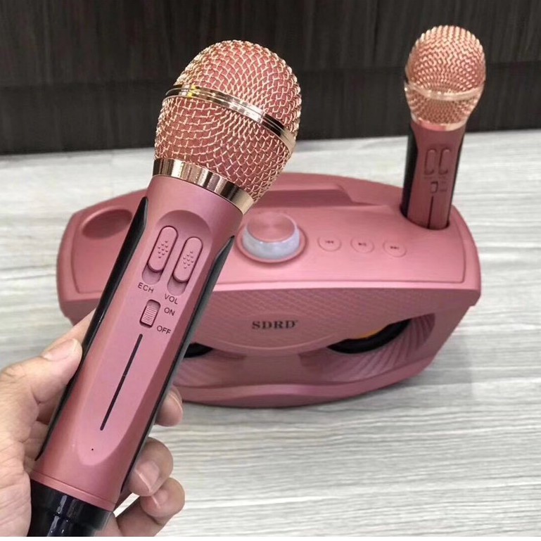 Loa karaoke kết nối bluetooth SD-306 đa năng + Tặng Kèm 2 Mic Không Dây - BH 6 tháng