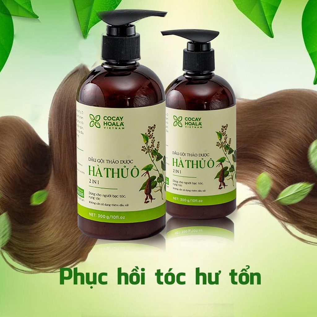 Dầu Gội Thảo Dược Hà Thủ Ô 2in1 Giảm Rụng Tóc Bạc Tóc Cocayhoala