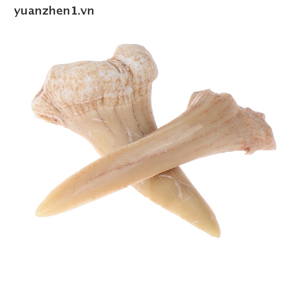 Mặt Dây Chuyền Hình Răng Cá Mập Bằng Khoáng Chất Tự Nhiên