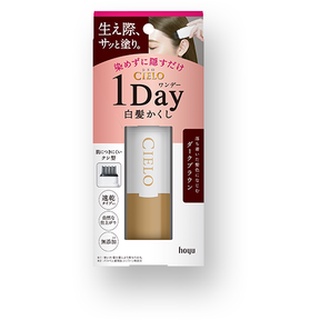 Phấn phủ tóc bạc Cielo One Day White Hair Hide