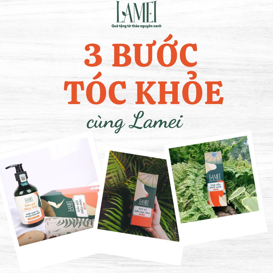 [Tiết Kiệm] Combo Dầu Gội 500 ml, Gel Xả 300 ml Và Tinh Dầu Bưởi Xanh Lamei 100 ml Chăm Sóc Tóc Toàn Diện