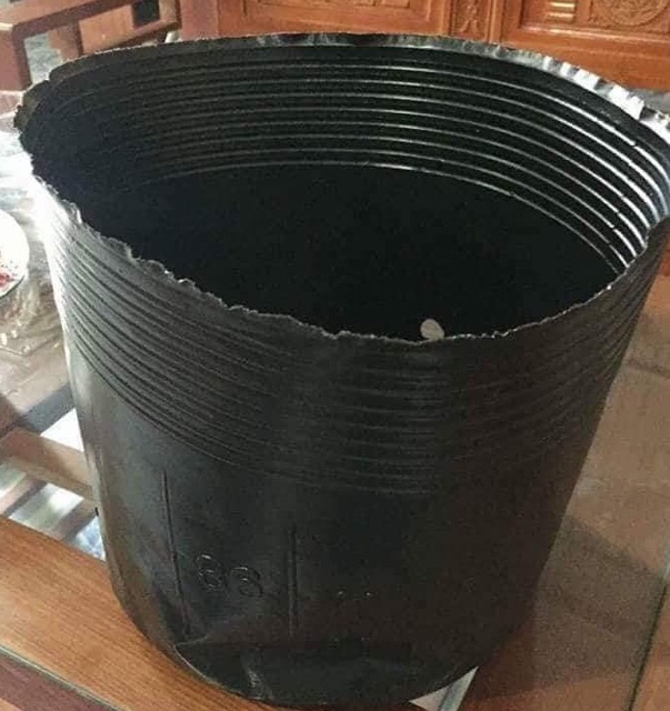 Túi bầu ươm cây nhựa dẻo chọn size