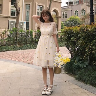 Đầm ulzzang lưới hình 🍍