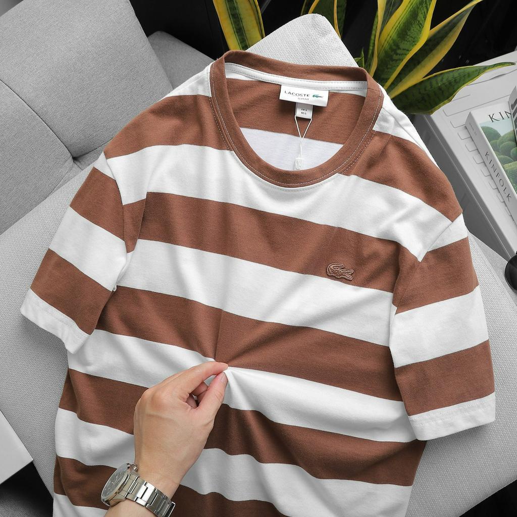 Áo Phông Cộc Tay Kẻ Ngang - 2023AP161 - 2023AP162