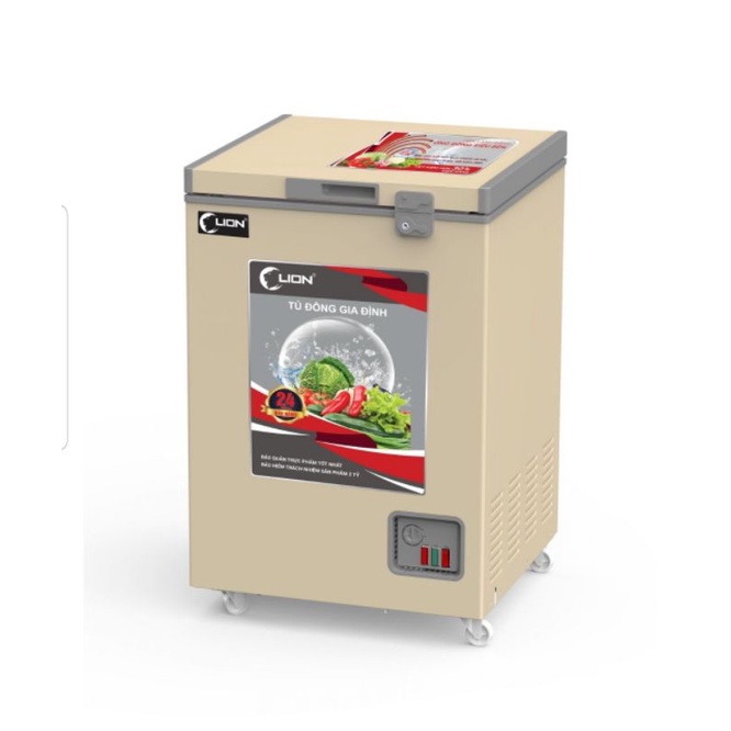 Tủ đông mini 100L