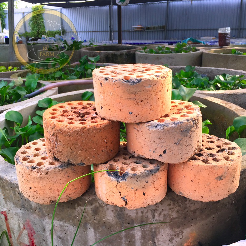 THAN TỔ ONG SẠCH 🍪 XỈ THAN 🍪 SIÊU LỌC NƯỚC