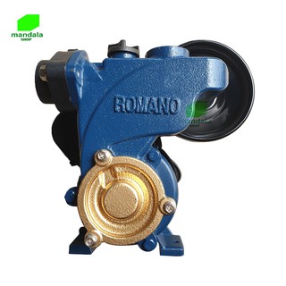 Máy bơm tăng áp tự động Romano 180W