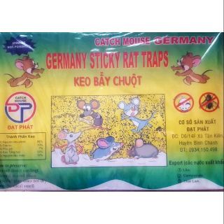 Keo dính chuột loại tốt