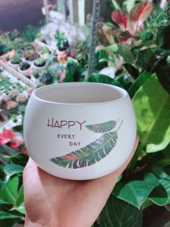 Chậu Trồng Cây