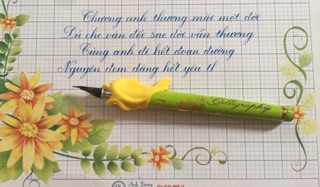 CÁ ĐỊNH VỊ CẦM BÚT ĐÚNG