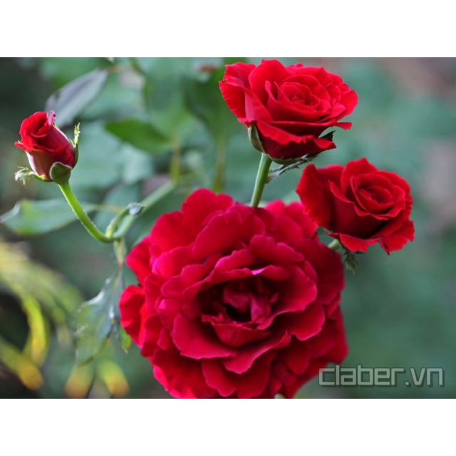 2ym7dul9sirhhzu05unghjkghga9