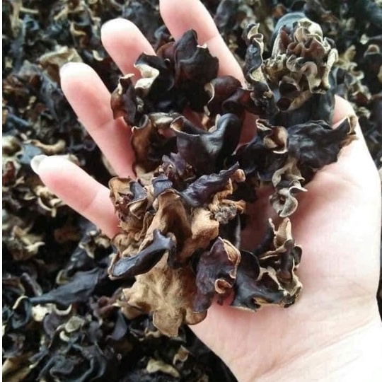 Mộc Nhĩ Rừng ( Nấm Mèo ) Thiên Nhiên Từ Rừng Tây Bắc - Ẩm Thực Hà Giang, Đặc Sản Tây Bắc | BigBuy360 - bigbuy360.vn