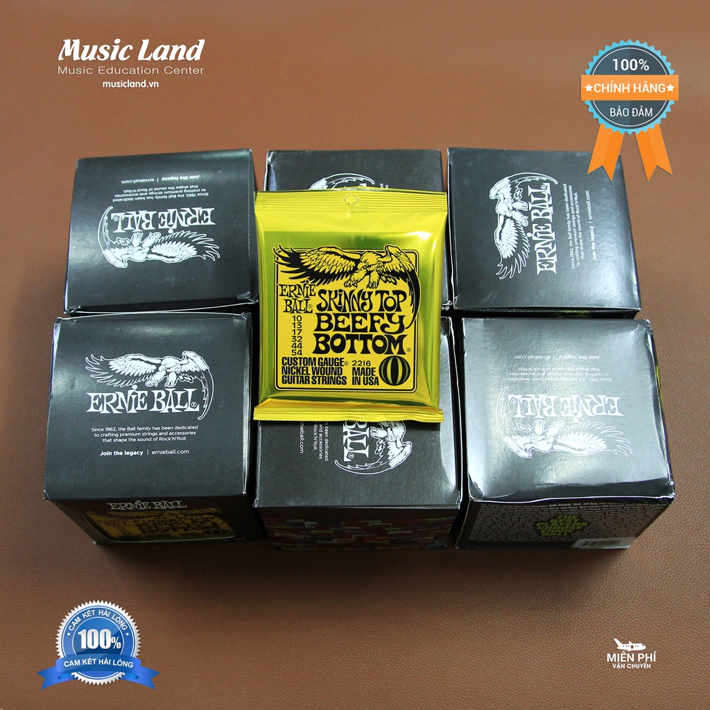 Dây Đàn Guitar Điện Ernie Ball 2216 – Chính Hãng