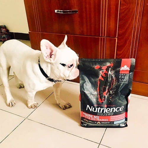 [DINH DƯỠNG CAO] Thức Ăn Hạt Cho Chó Phốc Sóc Nutrience Subzero - Thịt Bò,Thịt Cừu, Cá Hồi, Rau Củ &amp; Trái Cây