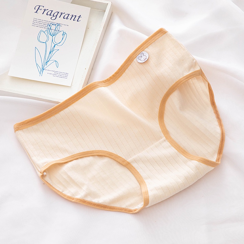 Quần lót nữ cotton cao cấp màu pastel thoáng khí co giãn kháng khuẩn 227 - HaSong