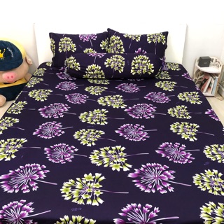 Bộ drap thun Hàn Quốc