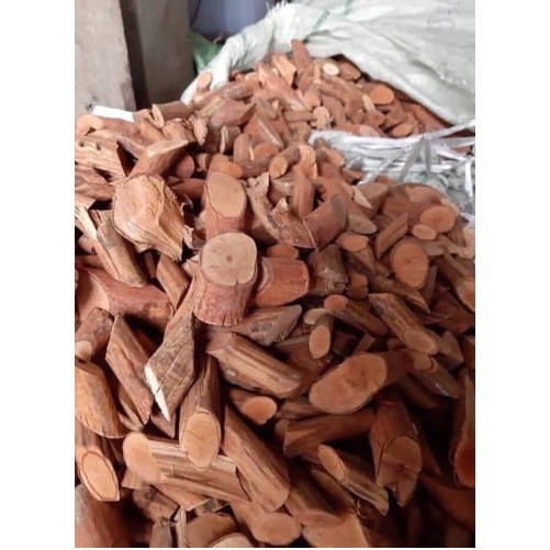 1kg Cây Mú Từn Bổ Thận Tráng Dương MT01