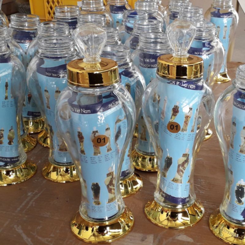 HũSâm ngâm rượuThủy Tinh 1 lít phú hòa glass