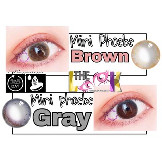 THE LOOK PRO - CONTACT LENS MÀU BROWN VÀ GRAY - NÂU MỠ GÀ VÀ XÁM HOÀNG HÔN TỐI MÀU - GIÃN NHẸ - 0 ĐỘ