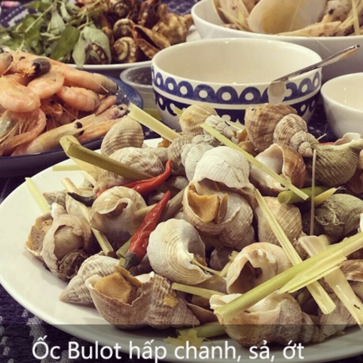 500g ốc Bulot Pháp size 20-30 con kg