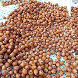 Bồ hòn đã tách hạt