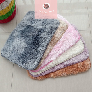 Thảm lông lau chân lông loang thấm hút nước chống trơn trượt, Thảm lau chân lông 2 lớp với lông mịn và hạt chống trượt