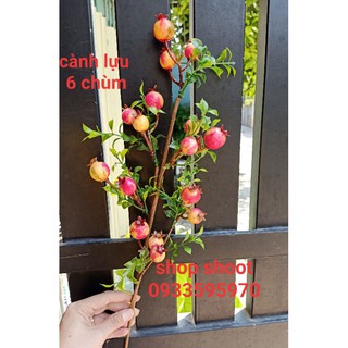 CÀNH LỰU TÀI LỘC CHƯNG TẾT