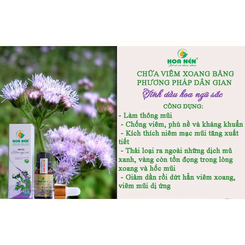 Tinh Dầu Hoa Ngũ Sắc Hoa Nén 5ml - Tinh chất từ thiên nhiên