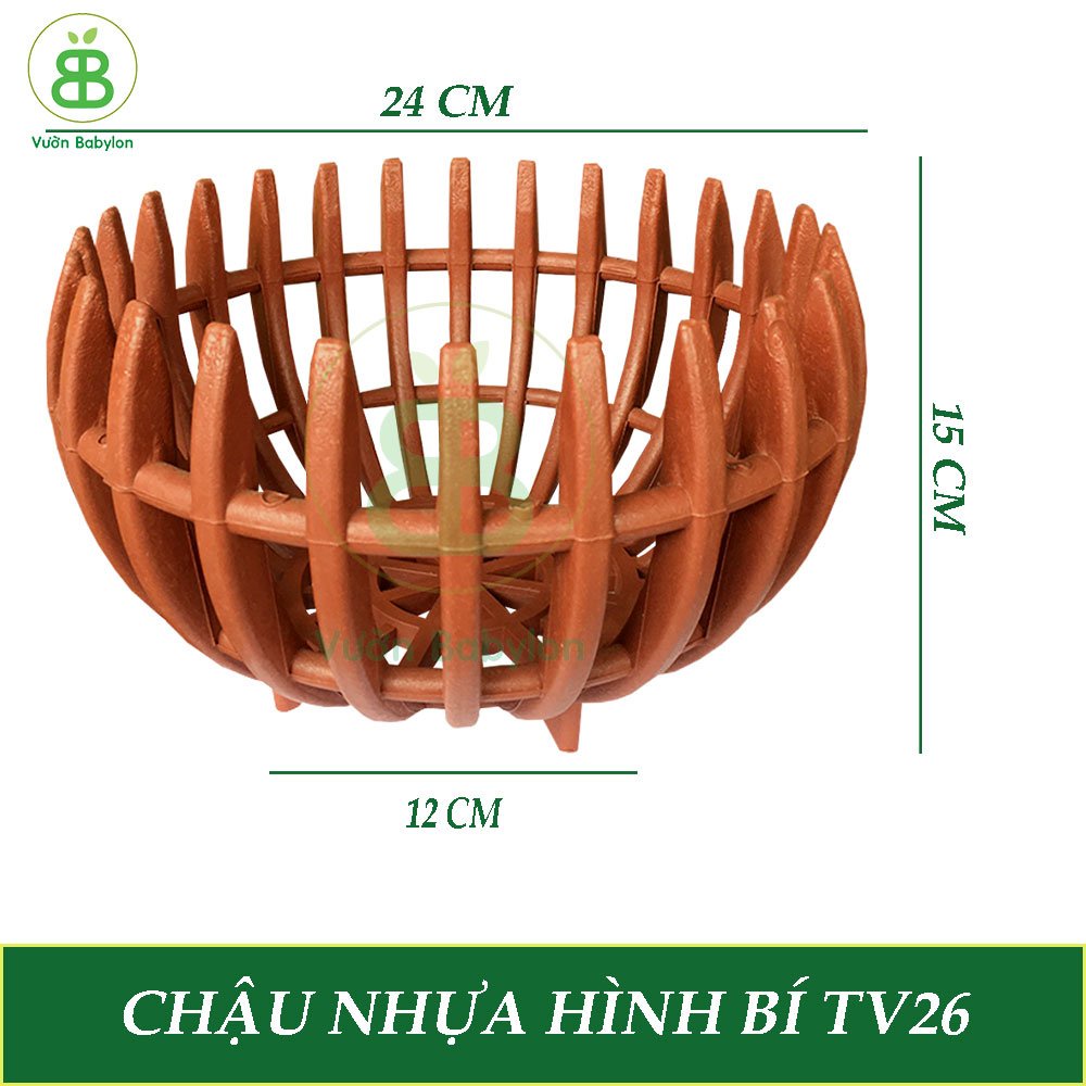 Chậu Trồng Lan  Loại 1 - Chất liệu nhựa cứng nhưng không giòn, chậu dày, bền