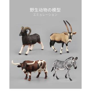 Bé Tô Màu Động Vật Hoang Dã Châu Phi