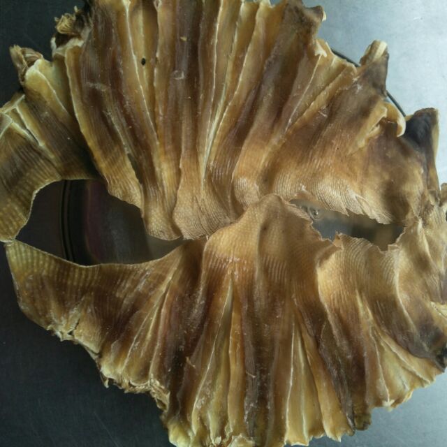 500g KHÔ CÁ ĐUỐI Nhạt Loại Ngon