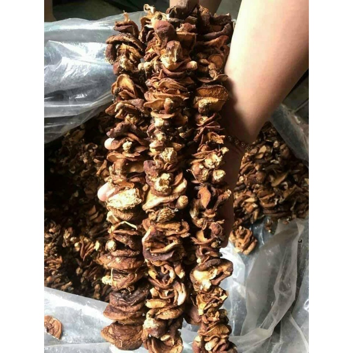 Nấm hương rừng Sapa 1kg giá sốc