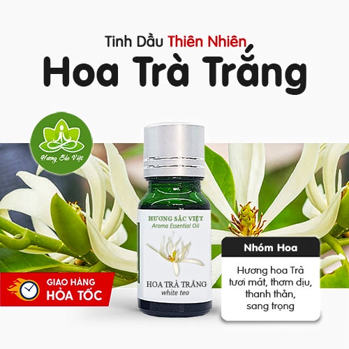 Tinh dầu hoa Trà Trắng Whitetea - hương thơm tươi mát, sang trọng, thích hợp cho cửa hàng