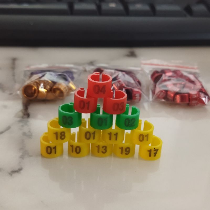 SET 10_40 VÒNG ĐEO CHÂN CHIM CU GÁY 6.5MM