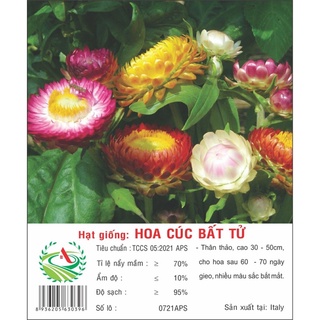 Hạt giống hoa Cúc Bất Tử