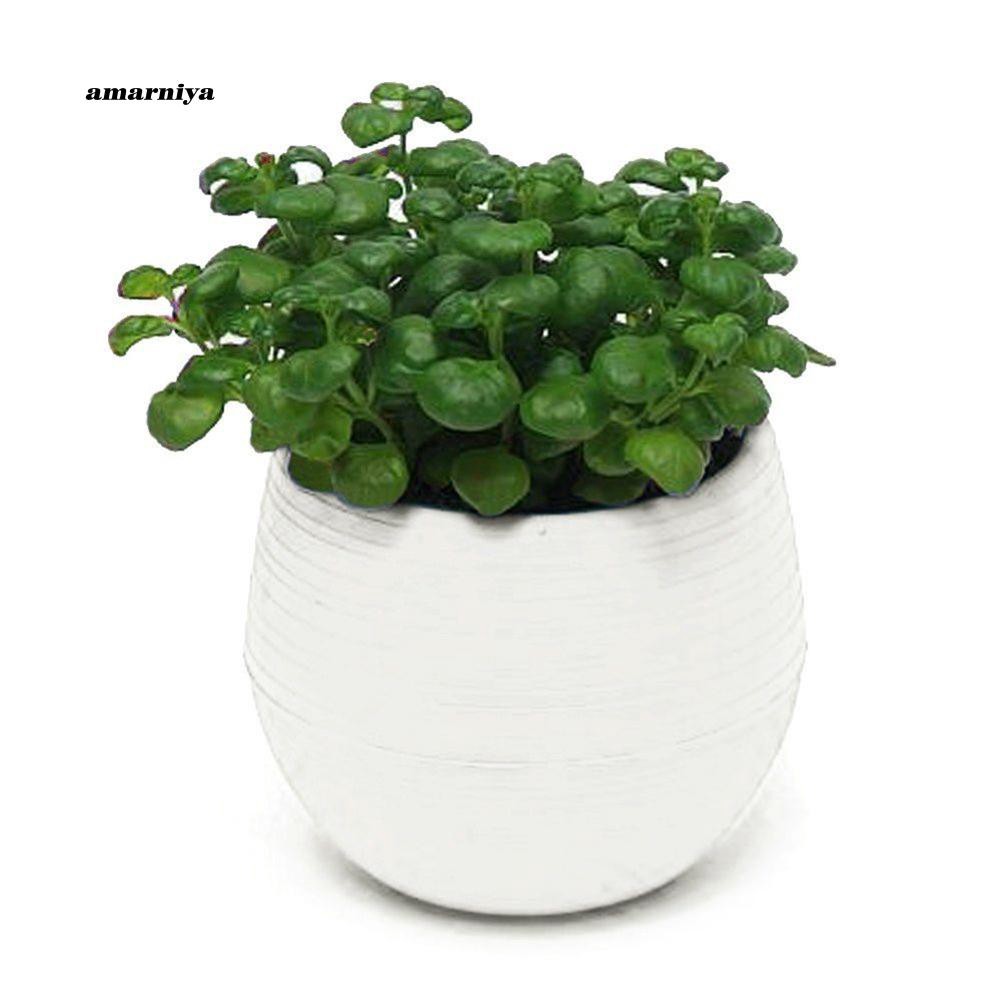 Chậu cây nhựa để bàn dễ thương