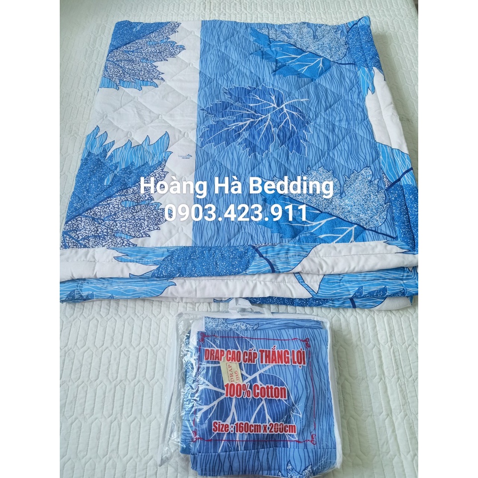 Mền cotton Thắng Lợi được chọn mẫu