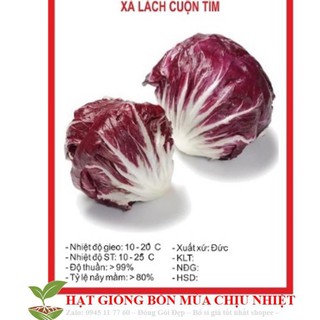 Xà lách cuộn tím 50 hạt