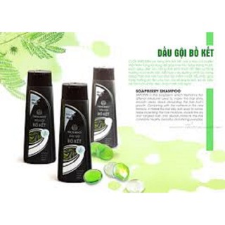 DẦU GỘI BỒ KẾT 400ML – THORAKAO | MỀM MƯỢT – ĐEN TÓC – NGỪA GÀU