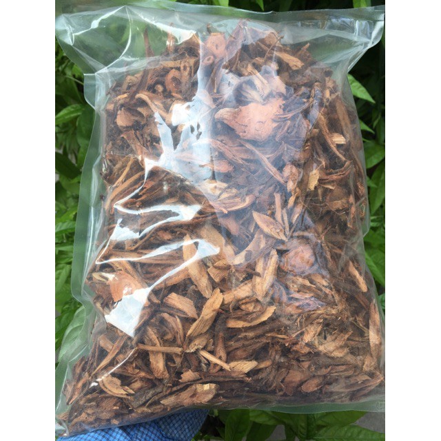 1 Kg củ gai khô dưỡng thai an thai rất tốt GT041